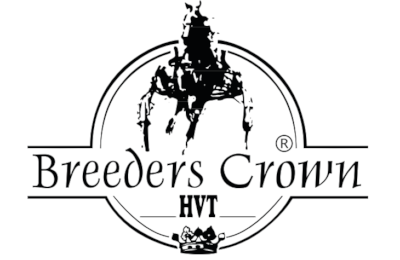 Lindhardt og Pedersen jagter Euro