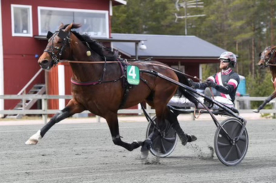 Don Cash købt tilbage til Danmark