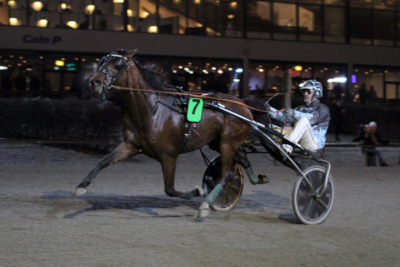 Donatello Garbo i comeback