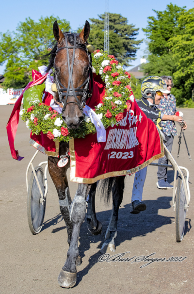 Emoji – fra kåring til Gulddivision