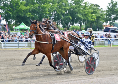 Foxtail Pine solgt Tilbage til sin opdrætter