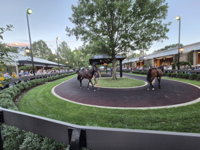 Dollars sad løst i Lexington, men…