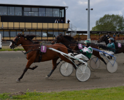 Hård kamp om amatørchampionatet