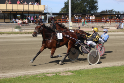 V65-Super Tirsdag på Falster