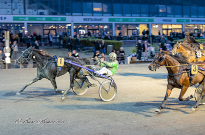 Fire danske travere på Travera-auktionen