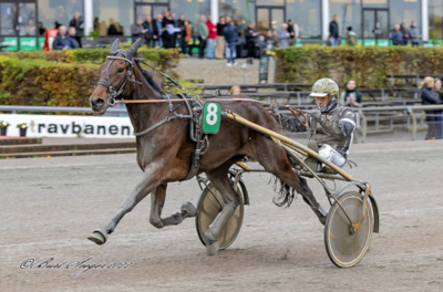 Jackie Wee blev hurtigt solgt