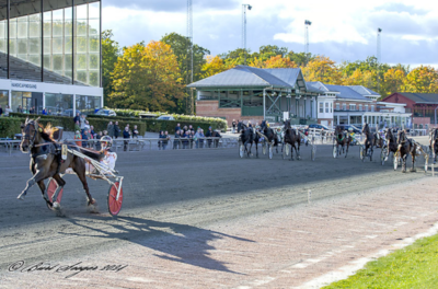 12 dansktrænede heste til start på Jägersro