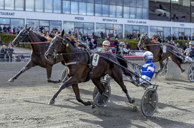 Hoppe Derbyfavorit sæsondebuterer
