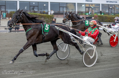 Efter 22 år kan Steen Juul vinde Dansk Opdrætningsløb igen!