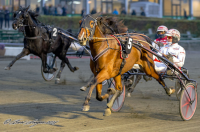 Lust for Life godkendt i 1.14.0 i Holland