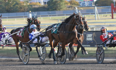 Svenskfødt 2-åring klar til Breeders Crown i USA