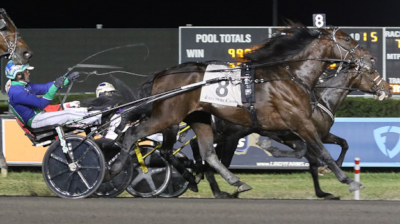 Bliver Sig Saur Årets Traver i USA?