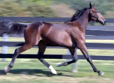 Lexington: Så blev der et dansk køb