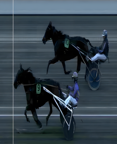 Saga vandt med familiehesten