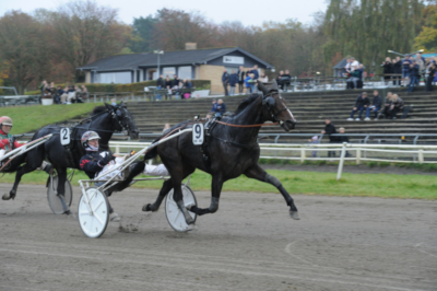 Incitanus Sotto med ny kusk