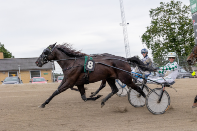 Der er atter gang i Stald Flemming Jensen