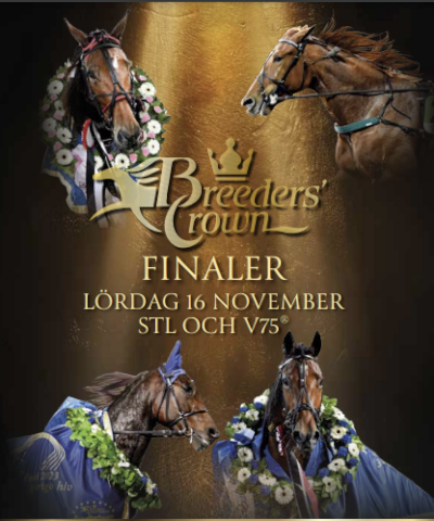 Breeders Crown-finaler og V75-spil
