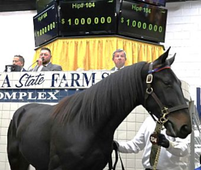 Cambridge Hanover kostede 1 million dollars