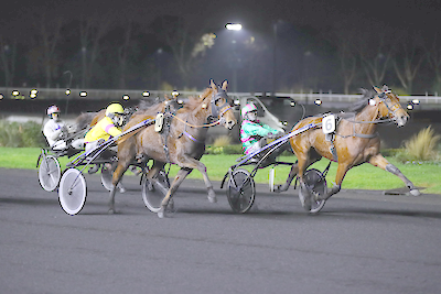 Sjette sejr i træk til Bondos Cobra Killer Gar