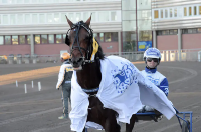 Daniel Wäjersten kvalificerede 10 heste til Breeders Crown-finaler