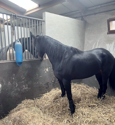 Extreme mod start i Frankrig