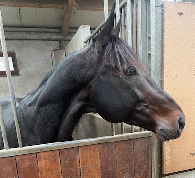 Extreme fra spor 2 i Vincennes-debut