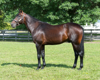 Greenshoes bedækningspris falder med 60%!