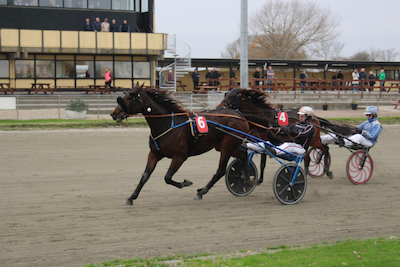 Ken Ecce satte flot punktum for Falsters sæson