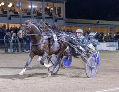 Musketer-dagen: Kungfufighting med Rene Kjær