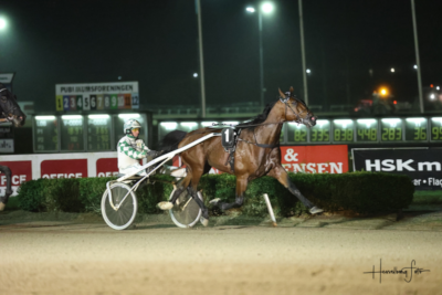 Staldnyt: To nye heste hos Flemming Jensen