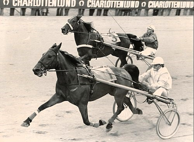 Travsport i Danmark for 50 år siden (5)