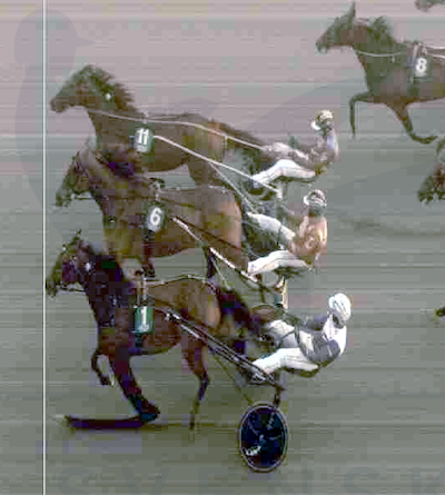 3. sejr i år til Nouchka di Quattro