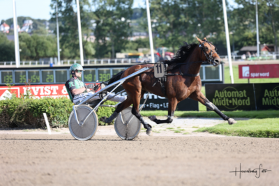 Orosei Boko solgt til Sverige