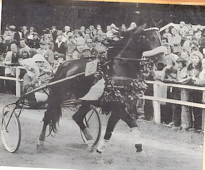 Travsport i Danmark for 50 år siden (4)