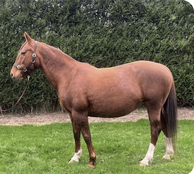 Gjorde Lunden-folk et kup på Travera?