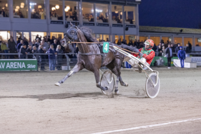 Hoppe Derbyfavorit tilbage hos Steen Juul
