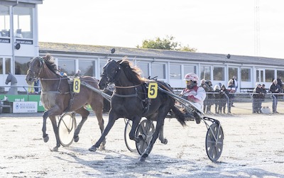 Stor interesse for Laurentia Mosebo