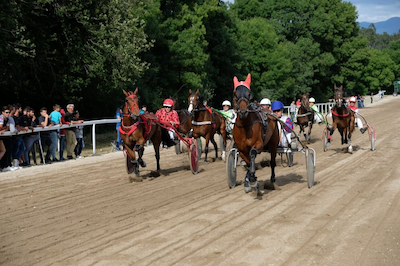 Er der travløb i Portugal?