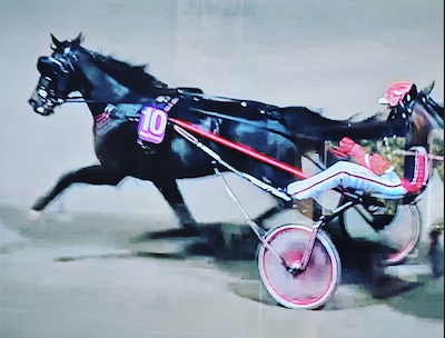 Torben Hougaard købte følhoppe på Travera-auktionen