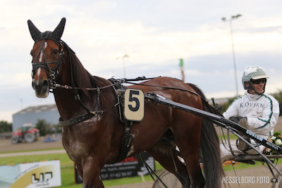 Even Steven i træning i Frankrig