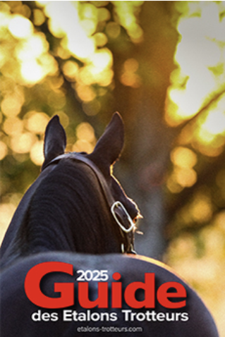 Interesseret i fransk traveravl?