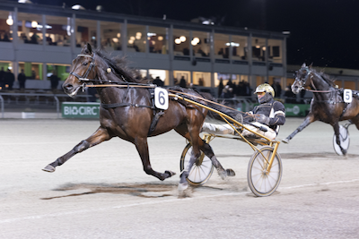 To V4-spil på Jydsk Væddeløbsbane!