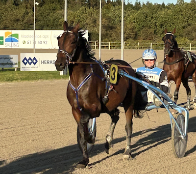 2-åring med rekord 1.15.2 tilmeldt Nytårsauktioner