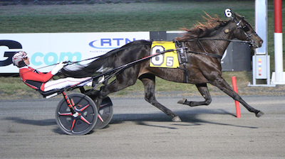 Norskfødt Bold Eagle-datter hurtigst på The Meadowlands