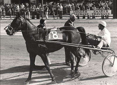 Travsport i Danmark for 50 år siden (16)
