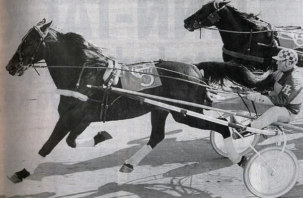 Travsport i Danmark for 50 år siden (20)