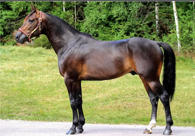 Svenske Power har sluttet løbskarrieren