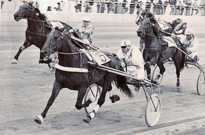 Travsport i Danmark for 50 år siden (17)