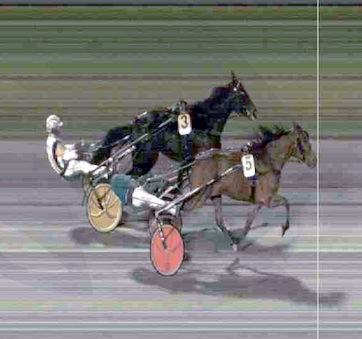 V75: Millionudbetaling da ônas Prince blev besejret