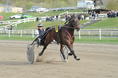 Farvel til Tarzan Gardenia